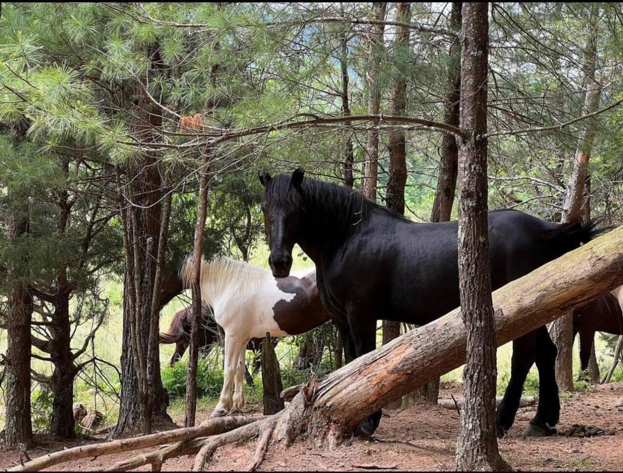 A Magical Experience Villa Pigeon Forge Luaran gambar